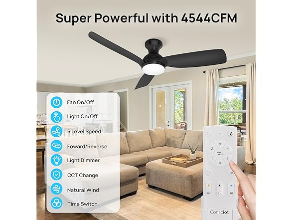 Consciot Ceiling Fan With Light, 44" with Remote, Black