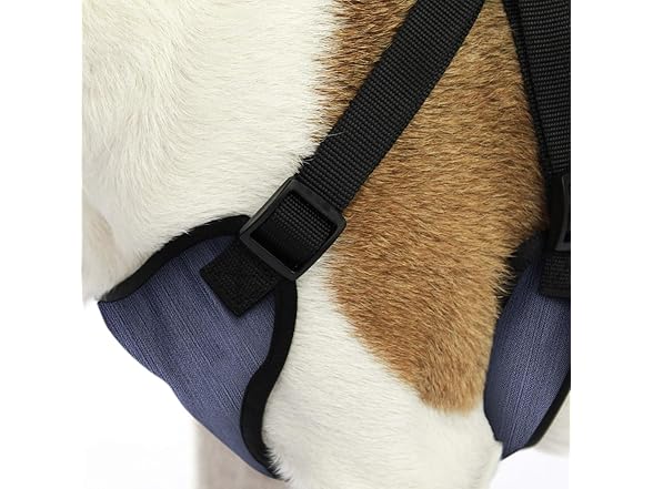 AKC Striped Step-in Dog Harness – No Pull