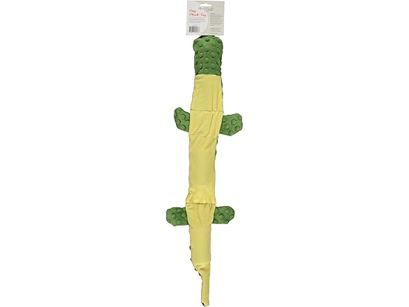 Alligator