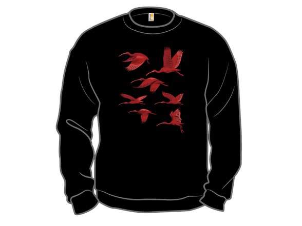 Flock of Flamingos