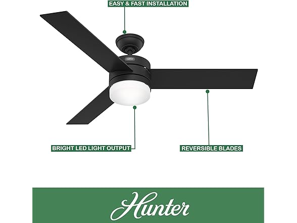Hunter Fan 54" w/ Light Kit and Remote