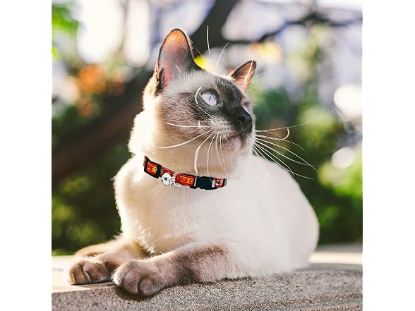 NFL CAT Collar Kansas City Chiefs