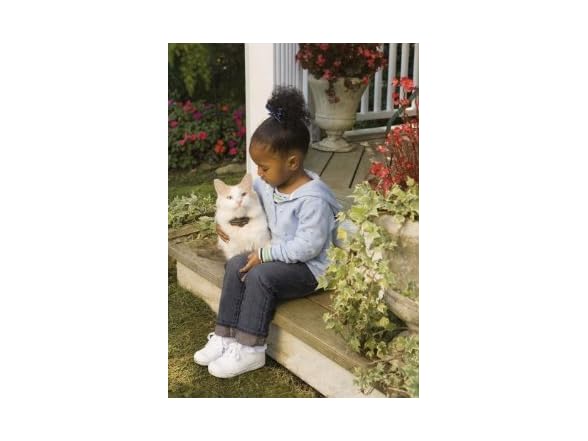 PetSafe Premium Cat Fence Extra Receiver
