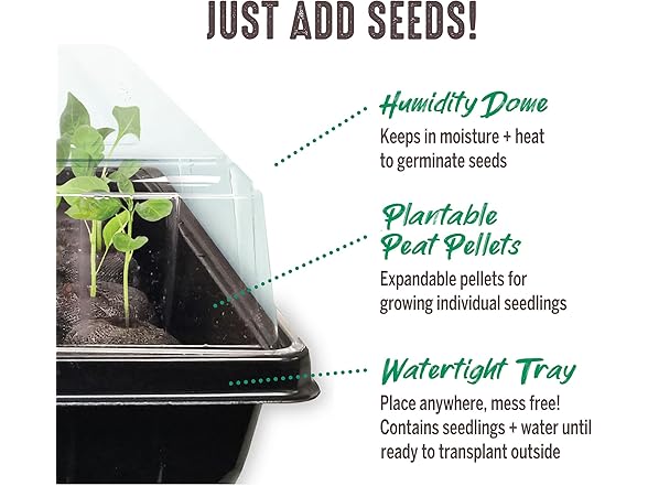 Jiffy Seed Starting Kit, 12 Cell 36mm 