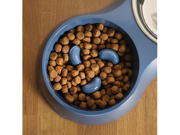 Gibson Home Curious Canines Slow Feeder Dog Bowl Set