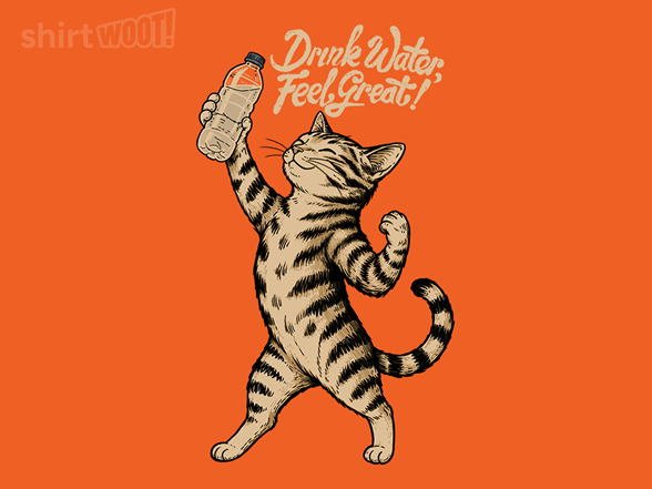Drink Water Feel Great