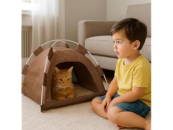 Cat Tent House