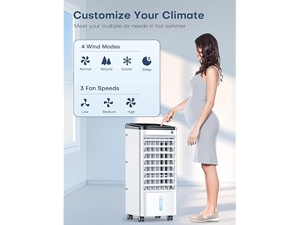 Breezewell Evaporative Air Cooler