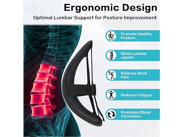 Lumbar Support Back Support (2 Pack)