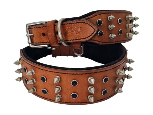 BlazingPaws® Sabrington 2 In Wide Luxury Spi