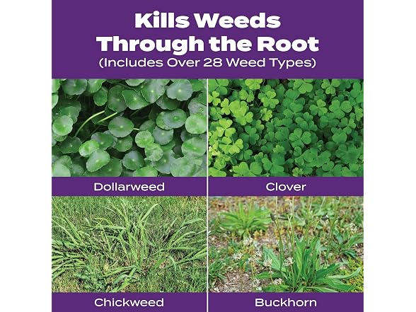 Scotts Turf Builder Bonus Southern Weed & Feed