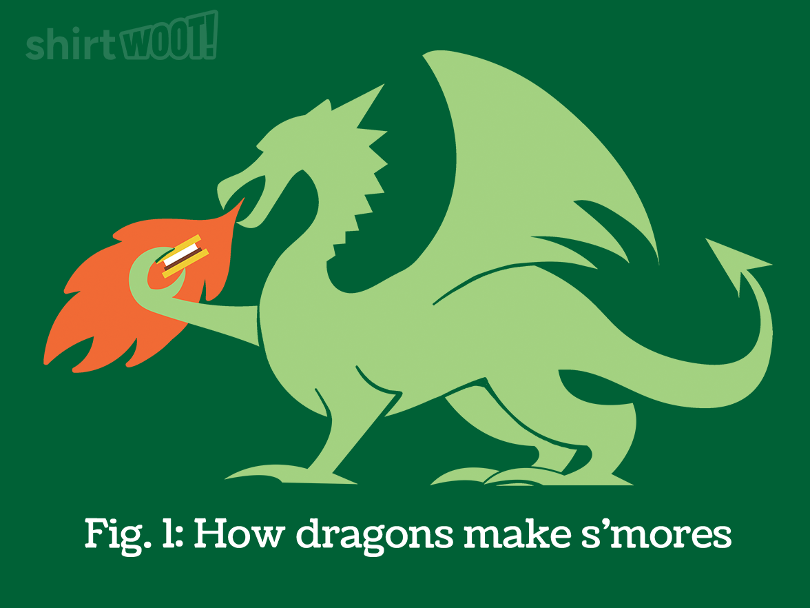How Dragons Make S'Mores - Gallery 4