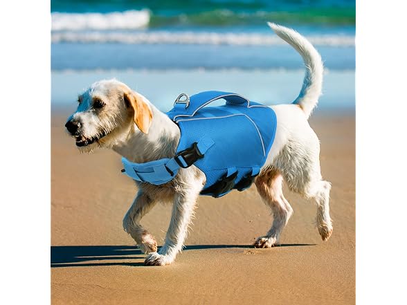 ASENKU Dog Life Jacket