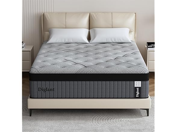 DIGLANT Queen Mattress 14Inch Hybrid