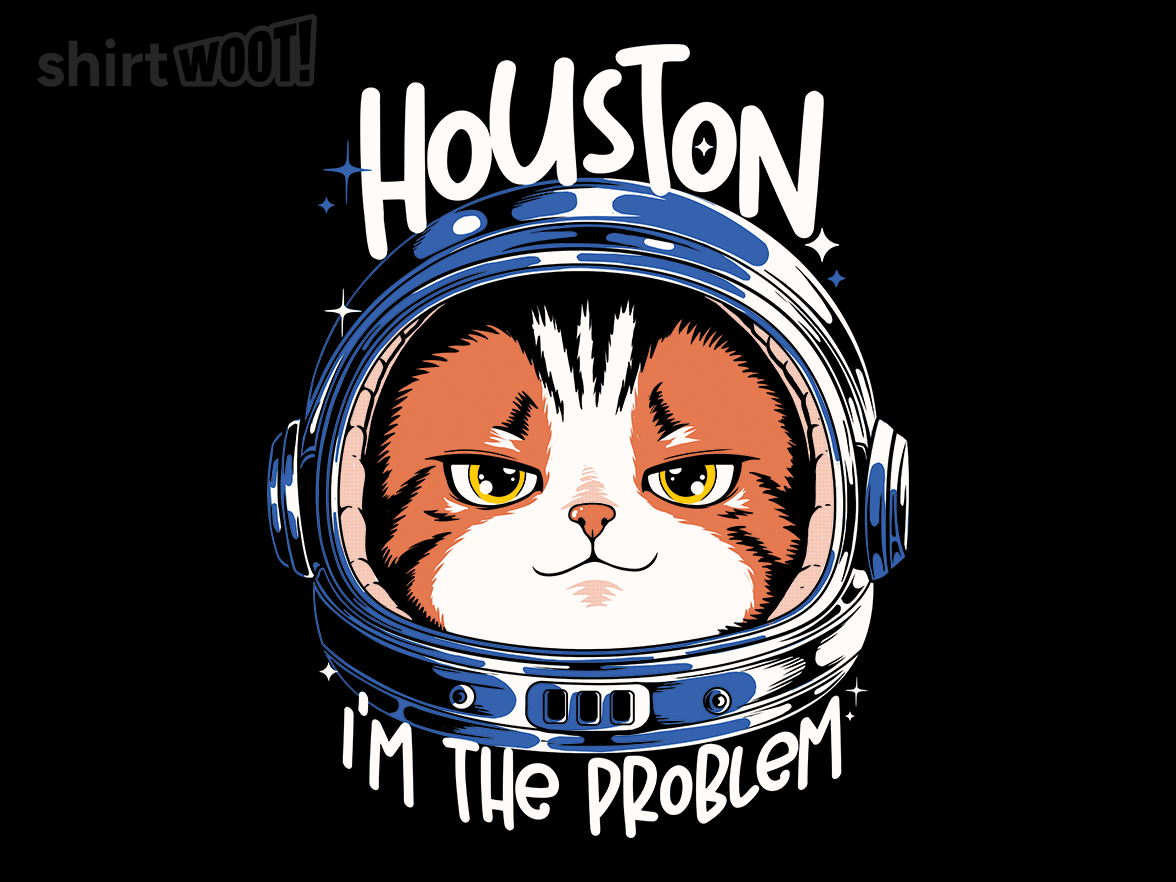 Houston Mood Problem - Gallery 9