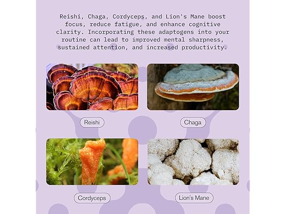 Mushroom Vitality Blend Chai 2oz (3pk)