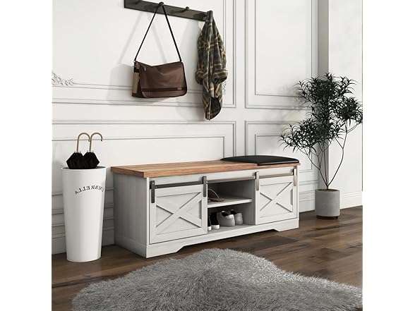Tzou Entryway Bench with Sliding Doors