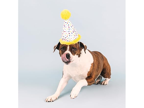 Fringe Studio Plush Dog Toy, Time to Celebrate