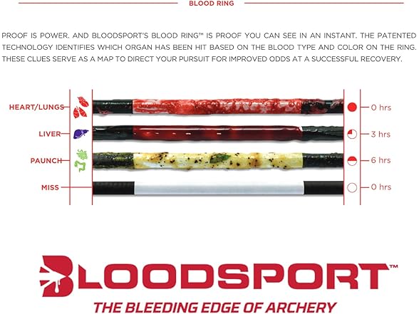 BLOODSPORT Hunting Arrow 500 Spine 12 Pack
