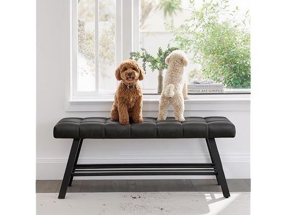 Lue Bona 45" Entryway Bench Black