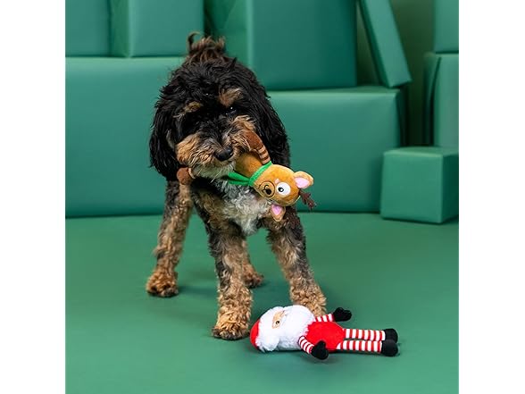 Fringe Studio Pet Toy, Friend at Frost Sight Dog Toy 2 Pk