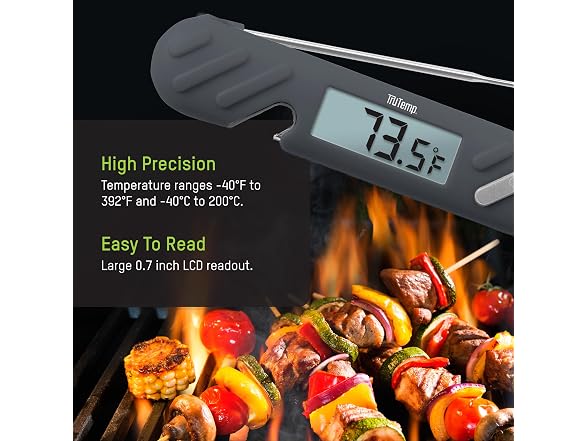 Taylor TruTemp Digital Instant Read Thermometer Meat Probe Gray