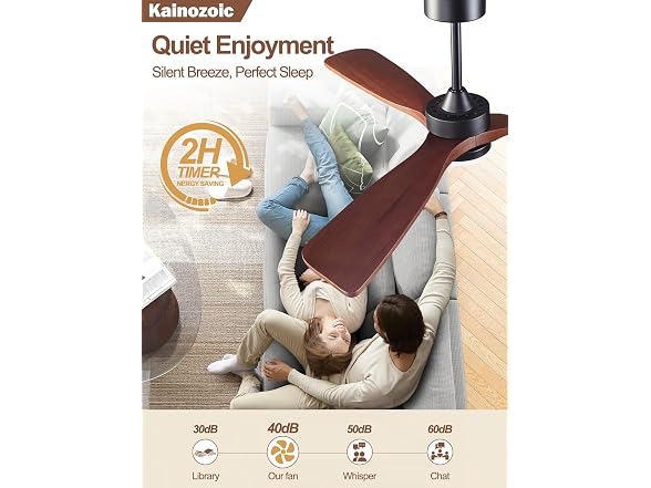 Kainozoic 52 Inch Ceiling Fan with Light