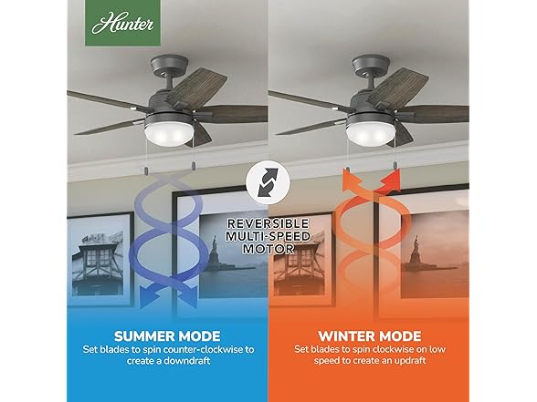 Hunter Fan 44" w/ Light and Pull Chain