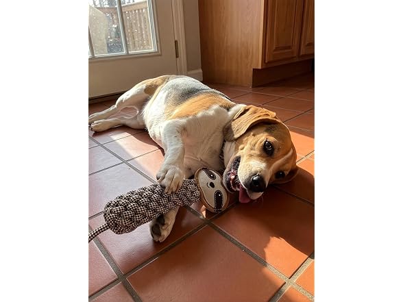 SPOT Dura-Fused Colors Leather Bottle Cruncher Sloth Dog Toy