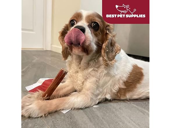Best Pet Supplies GigaBite Bully Sticks for Dogs All, 4Pk
