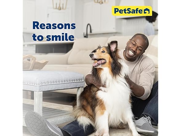 PetSafe SmartDoor Connected Pet Door for Cats