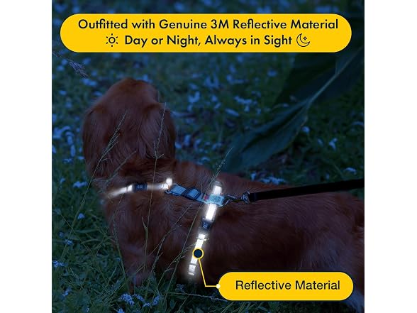 No Pull Harness with Fully Customizable Fitm