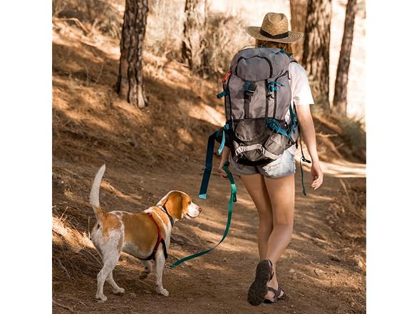 Viper Biothane K9 Working Dog Leash Wate Lea