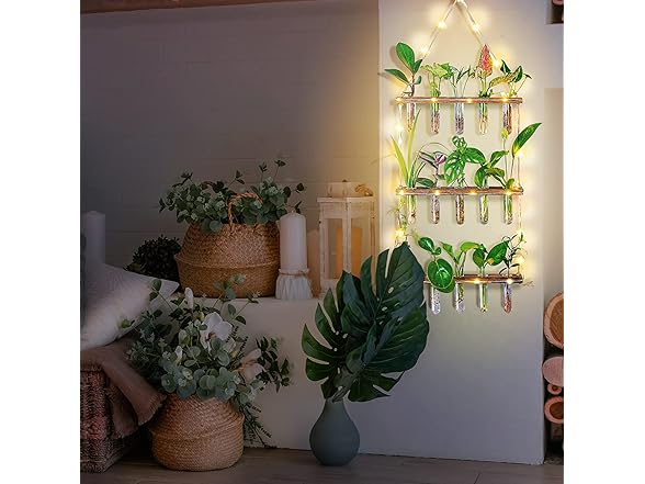 Yqlinnn Wall Hanging Plant Propagation