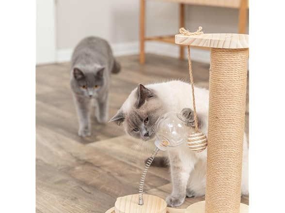 Trixie Oliver 18" Interactive Cat Scratching Post