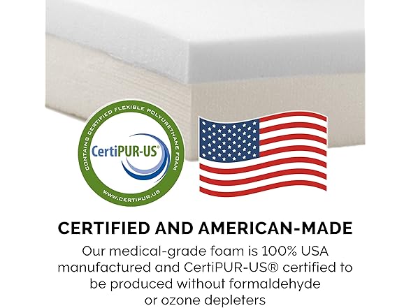 Furhaven Memory Foam Dog Bed for Medium/