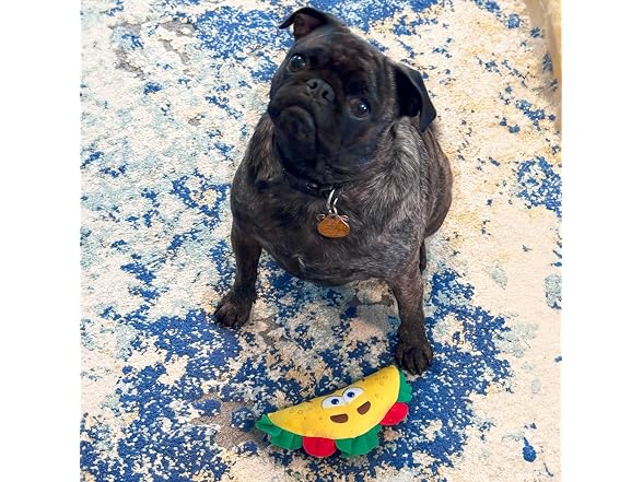 SPOT Fun Food Taco Plush Dog Toy with Squeaker