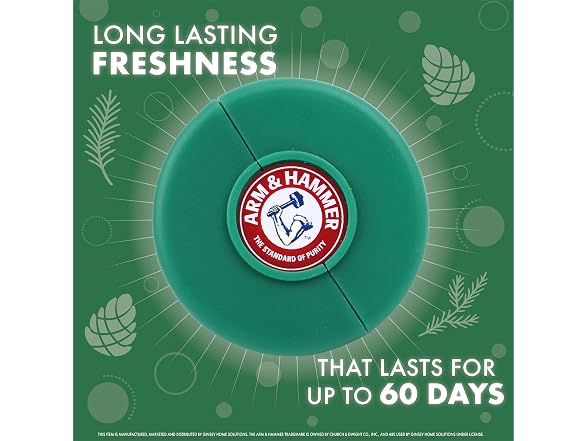 Arm & Hammer Odor Busterz 4ct Forest Pine