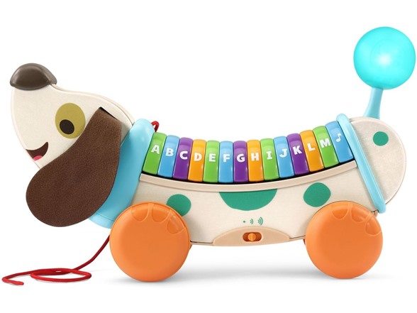 LeapFrog Wooden AlphaPup