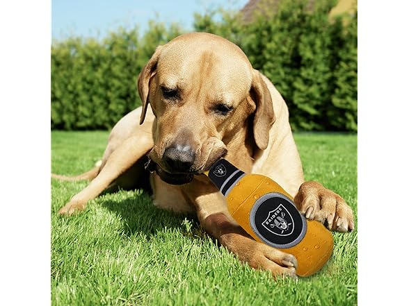 NFL LAS Vegas Raiders Beer Bottle Plush Squeak Toy