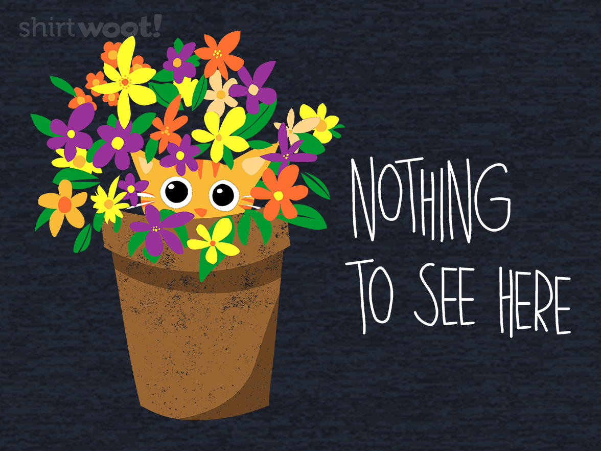 Nothing To See Here - Gallery 4