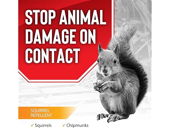 Messina Wildlife Squirrel Stopper, Liquid Animal Stopper