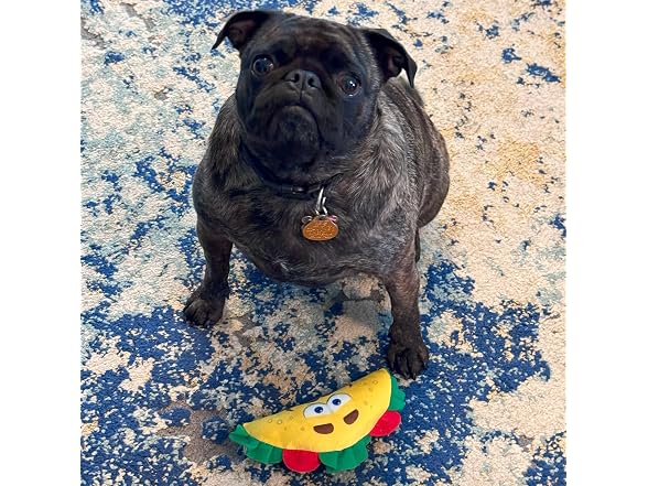 SPOT Fun Food Taco Plush Dog Toy with Squeaker