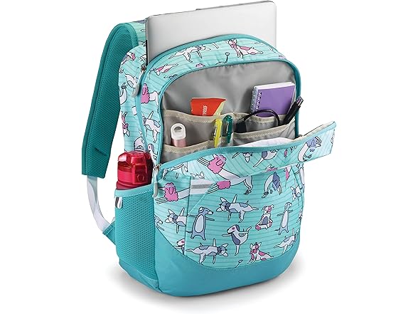 High Sierra Essential Backpack