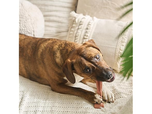 SPOT Bam-Bones Plus Coffee Wood T-Bone
