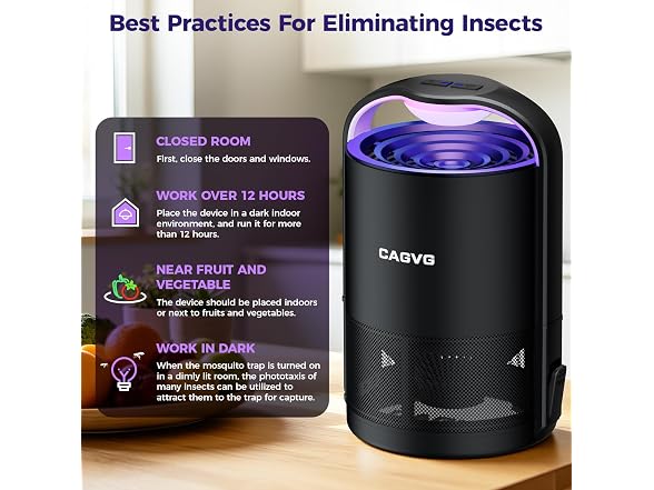 CAGVG Fly Trap Indoor