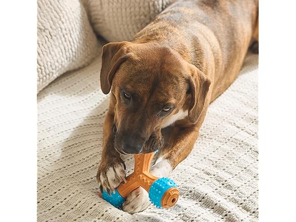 SPOT Bam-Bones PLUS Gigglers Dog Toy