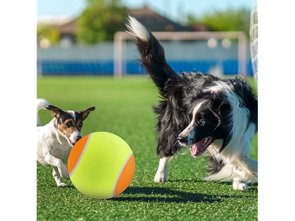 EXPAWLORER Giant Tennis Balls for Dogs- 2Pcs 