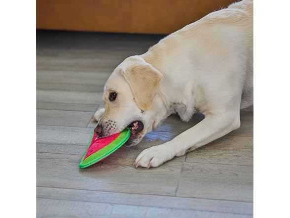 Outward Hound Tough Skinz Durable Squeaky Dog