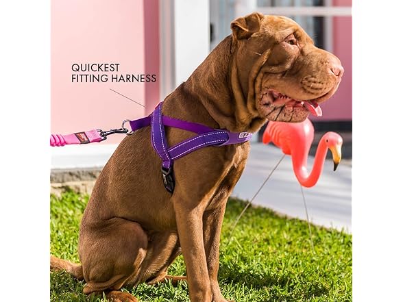 EzyDog Quick Fit Dog Harness, Soft Neoprene